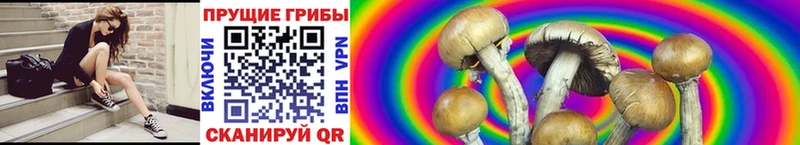 Псилоцибиновые грибы мухоморы Отрадный