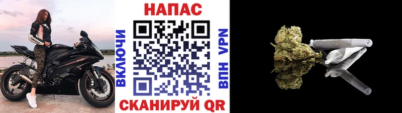 МАРИХУАНА сатива Отрадный